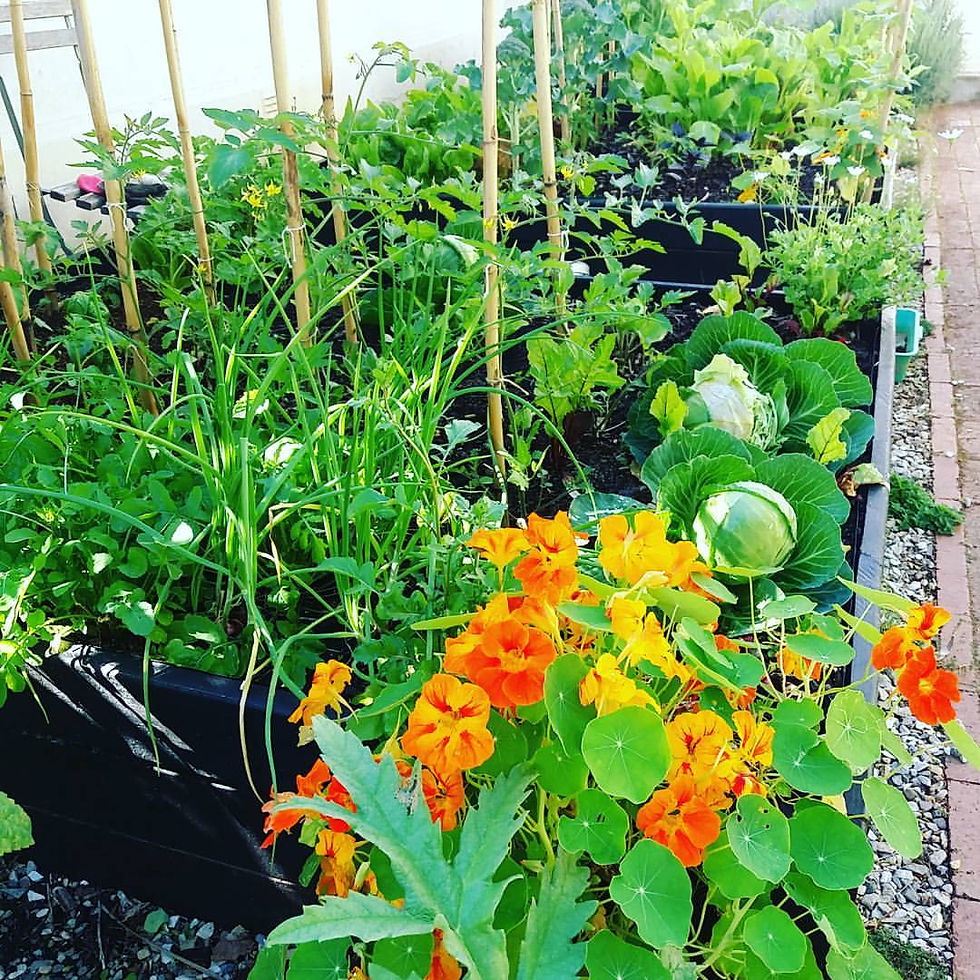 Eden Planters
