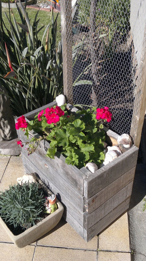 Eden Planters