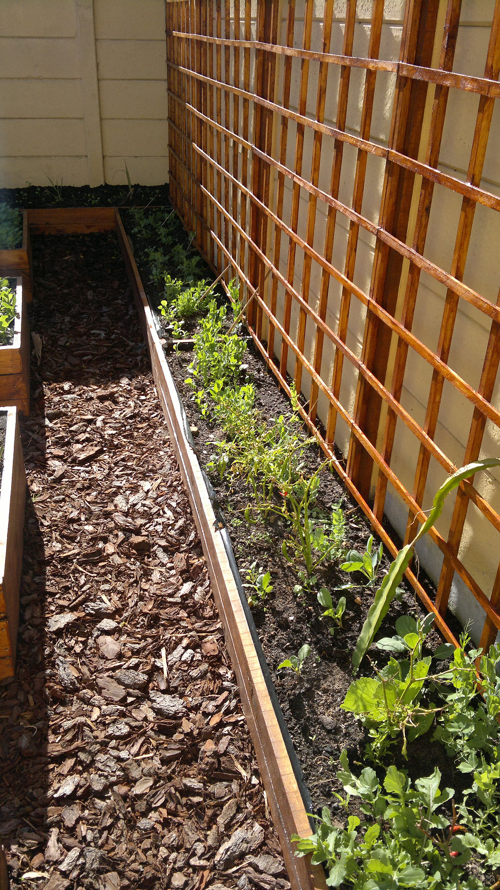 Eden Planters