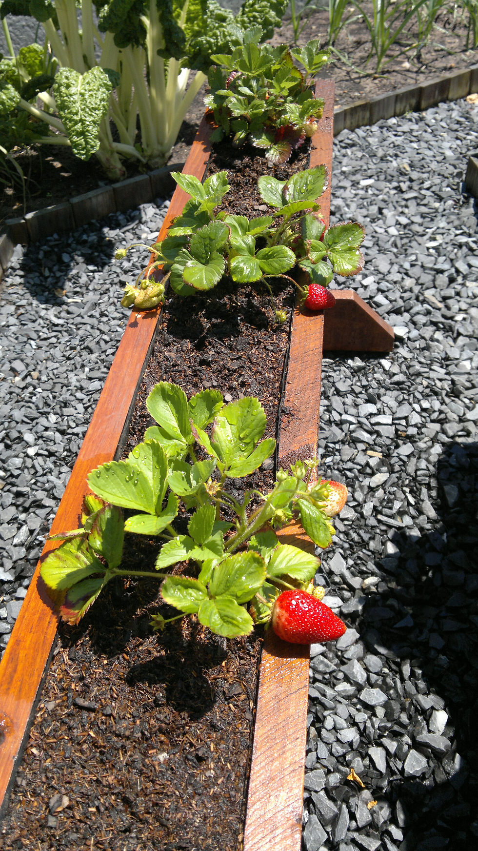 Eden Planters