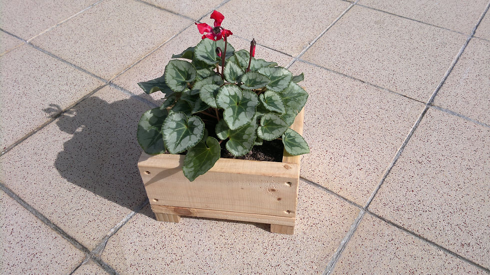 2012-05-13-590