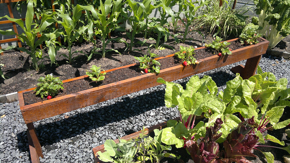 Eden Planters