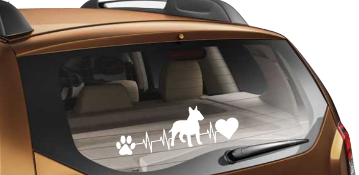 bull terrier heartbeat