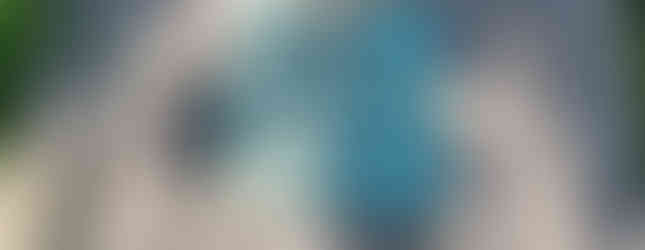 Visiting the Moore House in Yorktown