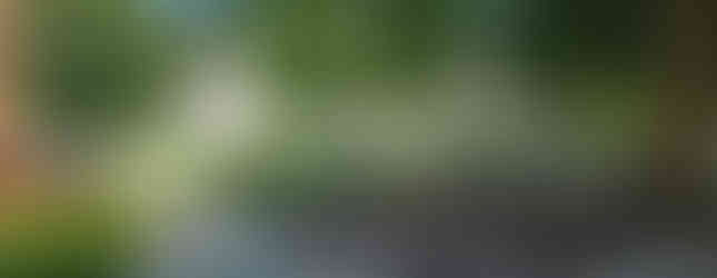 Public Goal in Williamsburg, Virginia