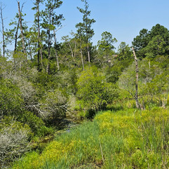 1607 Jamestown Fort Site