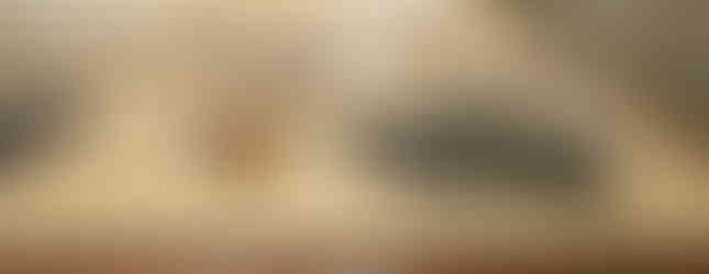 Our Visit to Carillon Historical Park