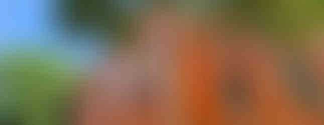 Visiting the Old Frederick Courthouse