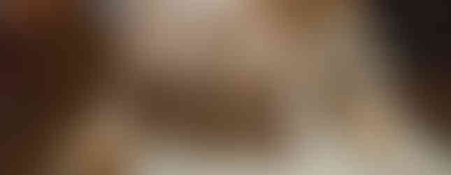 Jamestown Rediscovery Museum