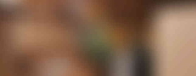 Buhl Mansion for the Holidays