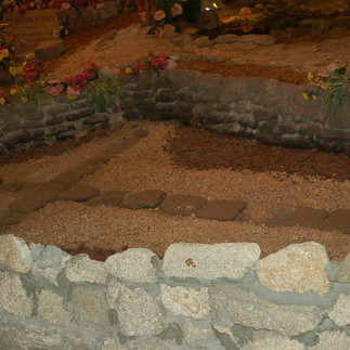 Inside the fountain of youth