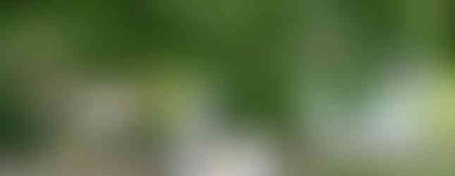 Bruton Parish Episcopal Church