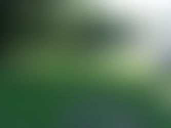 Dr. Responsible for Saving Millions of Lives - Pioneer Cemetery - Point Pleasant, West Virginia