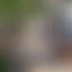 Visiting the Old Frederick Courthouse