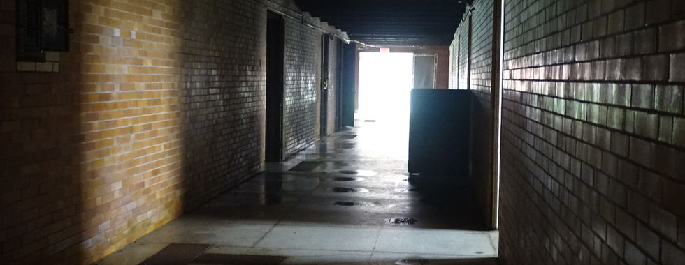 Exploring the Haunted Halls of the Trans-Allegheny Lunatic Asylum