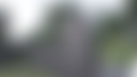 Interesting Tales from Oak Hill Cemetery in Youngstown