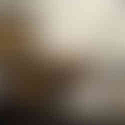 Our Visit to the Poe Museum in Richmond