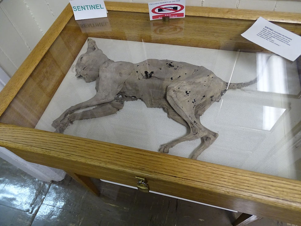 Fairport Harbor Lighthouse