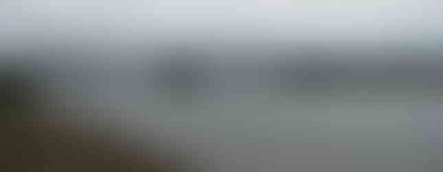 Visiting Buckley Island