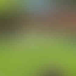 Westminster Hall and Burial Grounds - Edgar Allan Poe Grave