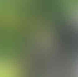 The Closed Old St. Paul Cemetery in Baltimore