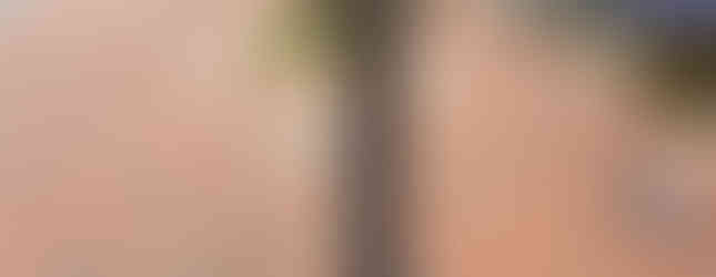 White House of the Confederacy