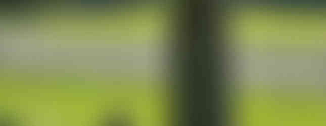 Visiting the Moore House in Yorktown