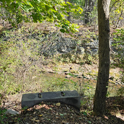 Our Search for Brady's Leap