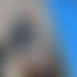 Kent Historical Society