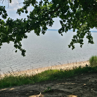 Uncovering Archer's Hope