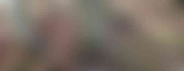 Pioneer Cemetery in Warren, Ohio