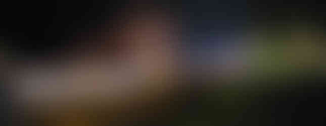 Buhl Mansion for the Holidays