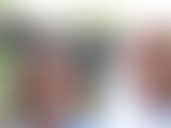 Visiting the Brandywine Falls and Inn