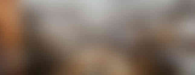 Peyton Randolph House