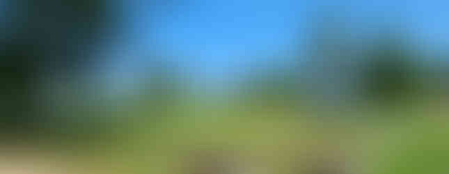 archaeological tents