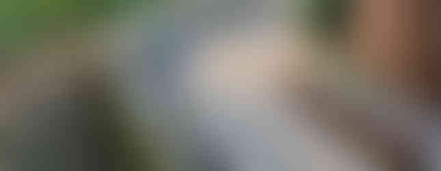 Investigating Surrender Field in Yorktown