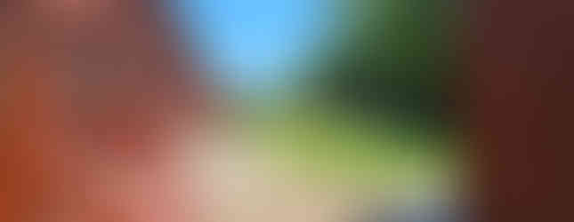 Peyton Randolph House