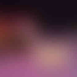 Part of Warren's collection