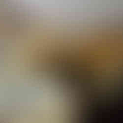 Our Visit to Carillon Historical Park