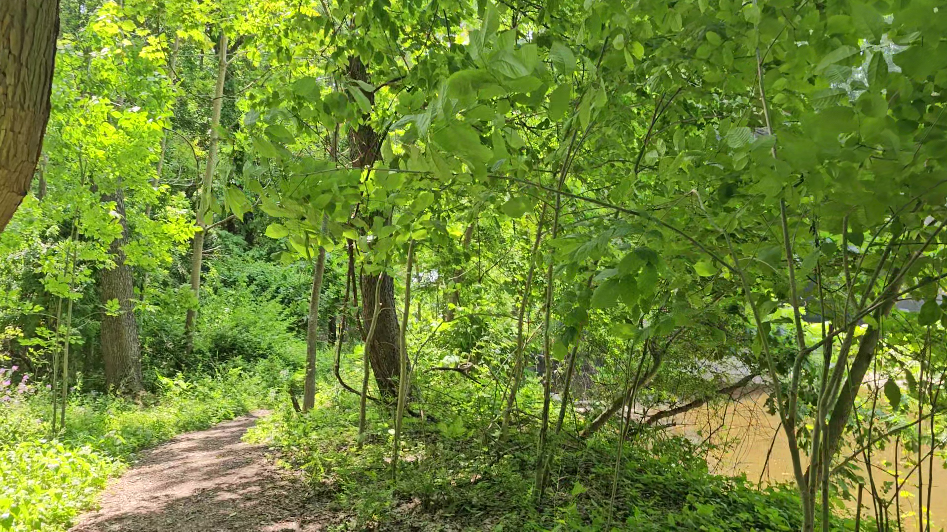Indian Trails Park - Ashtabula Train Disaster Location