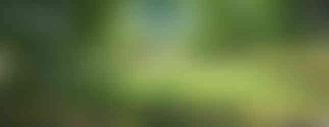 Bruton Parish Episcopal Church