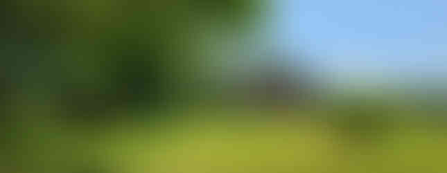 Ambler Mansion Ruins