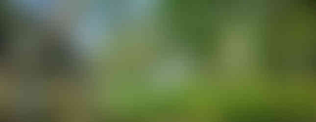 Visiting the Moore House in Yorktown