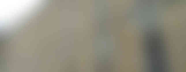 Exploring the Haunted Halls of the Trans-Allegheny Lunatic Asylum