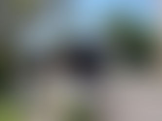 Newton Falls - Cry Baby - Covered Bridge