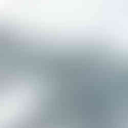 The World Bank Begins in New Hampshire