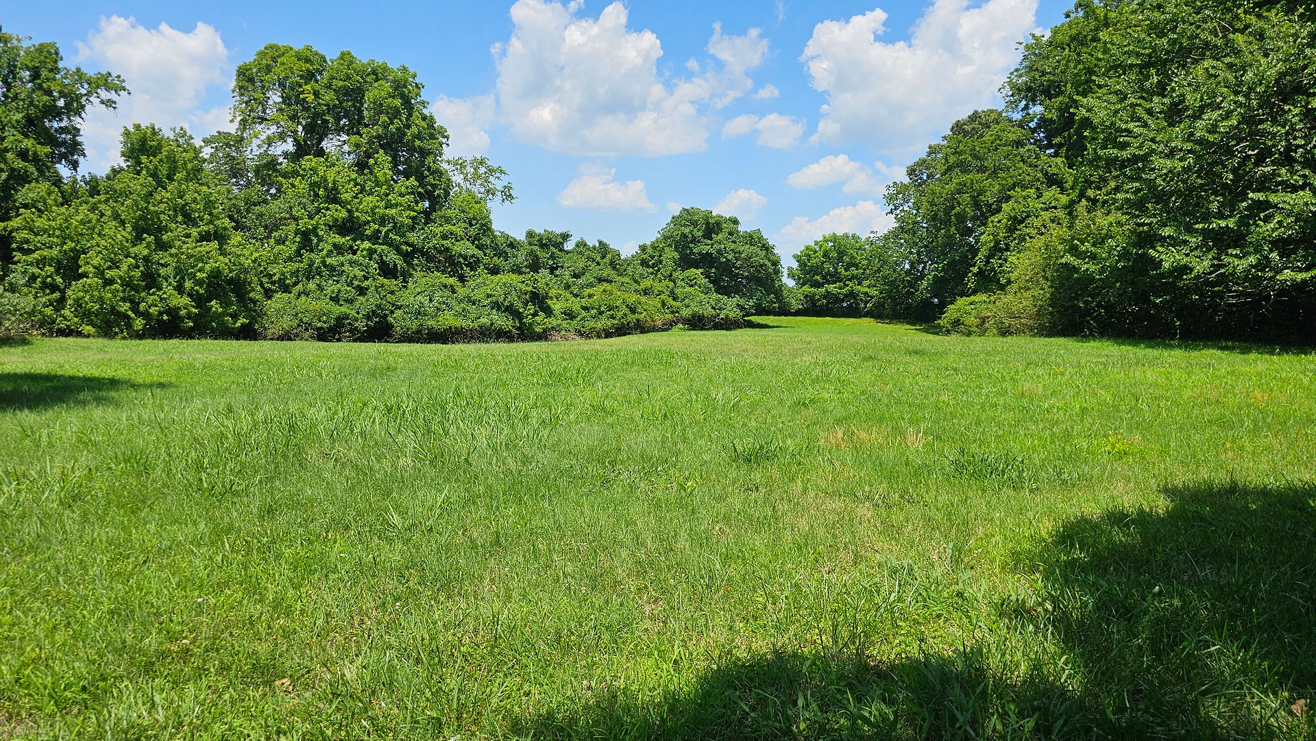 William Nelson House Site