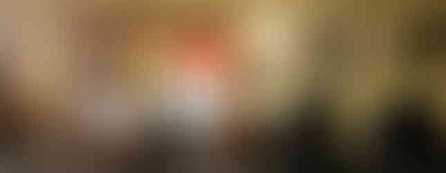 Buhl Mansion for the Holidays