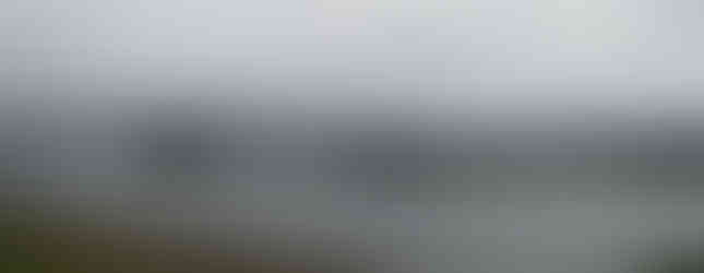 Visiting Buckley Island