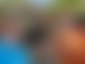 Investigating the Leetonia Coke Ovens